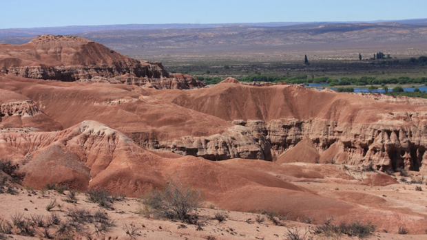 The Lower Cretaceous Bajada Colorada Formation (Argentina)