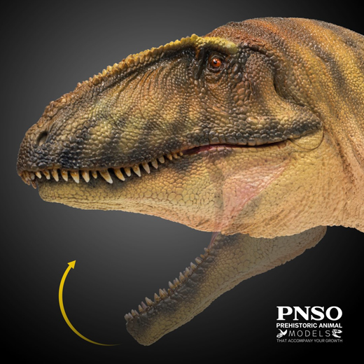 PNSO Gamba the Carcharodontosaurus dinosaur model