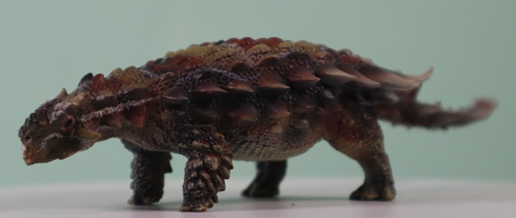 The compact and low-slung Pinacosaurus could have been adapted for digging.