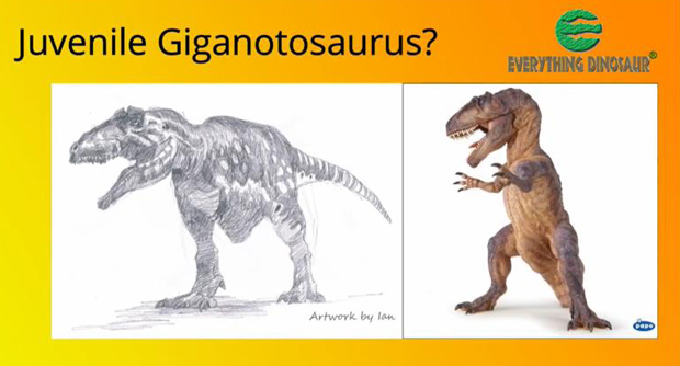 Everything Dinosaur suggests that Papo should introduce a juvenile Giganotosaurus model