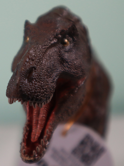 A close view of the head of the Rebor GrabNGo T. rex model (Type A)
