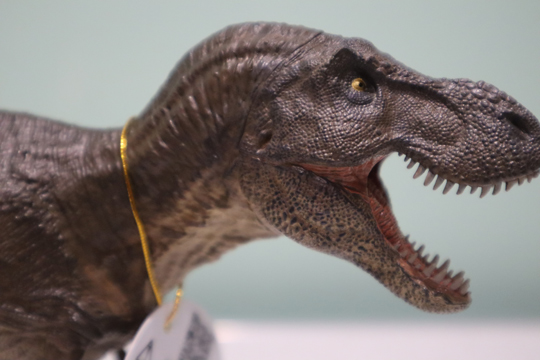 The head of the Rebor GrabNGo T. rex model (Type A)