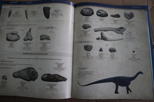 The Encyclopedia of Dinosaurs - The Sauropods is crammed full of facts.
