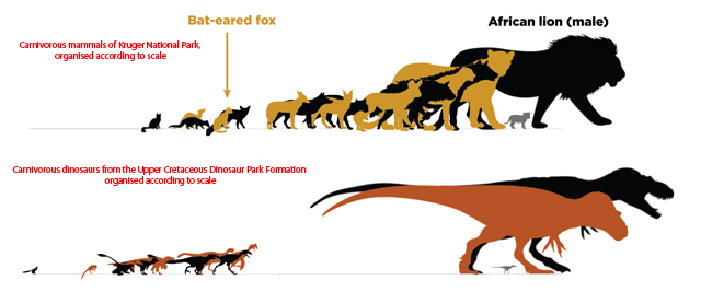 Comparing Mammalian Predator Communities to Dinosaur Predator Communities