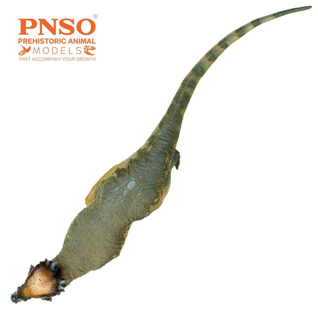 Austin the PNSO Pachycephalosaurus (dorsal view)