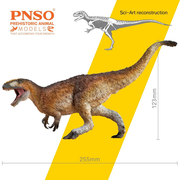 PNSO Yinqi the Yutyrannus Model Measurements
