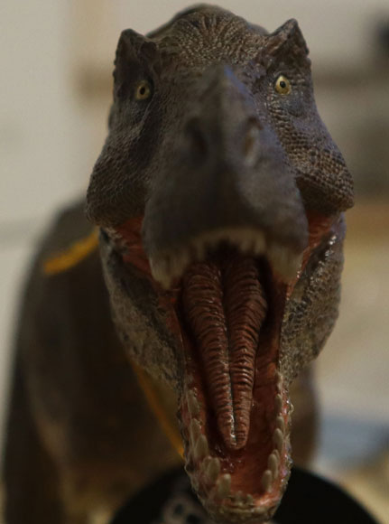 Rebor GrabNGo 02 T. rex Type A (Anterior View)