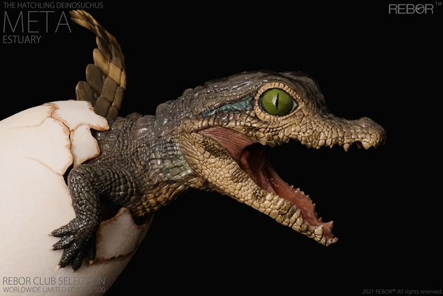 Rebor Club Selection: Meta the hatchling Deinosuchus Estuary Variant