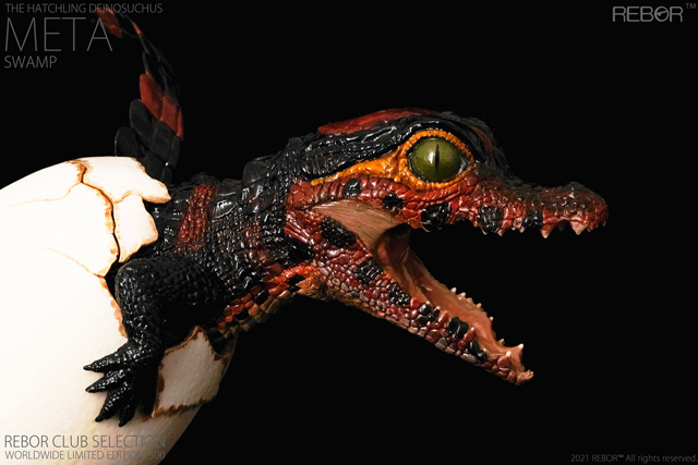 Rebor Club Selection: Meta the hatchling Deinosuchus (swamp variant)