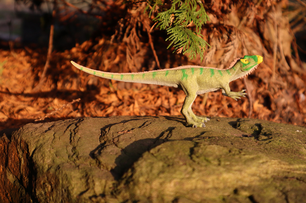 The CollectA Neovenator scenting prey dinosaur model