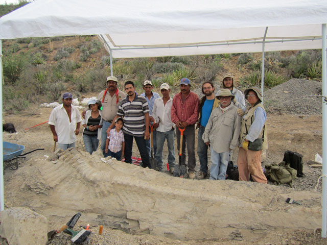 The Excavation of Tlatolophus galorum
