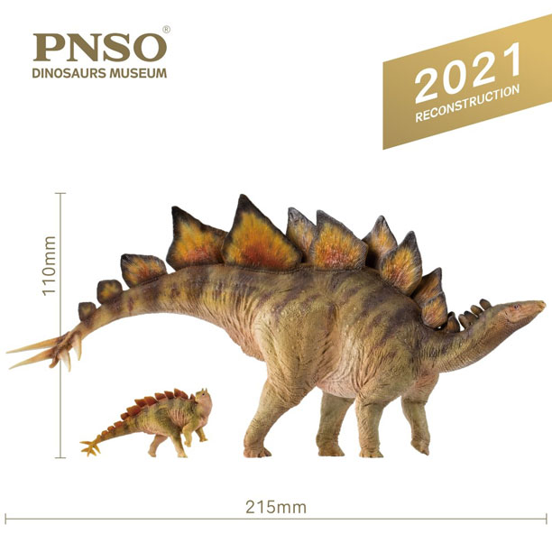 PNSO Stegosaurus (Biber and Rook) model measurements.
