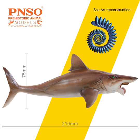 PNSO Haylee the Helicoprion model measurements
