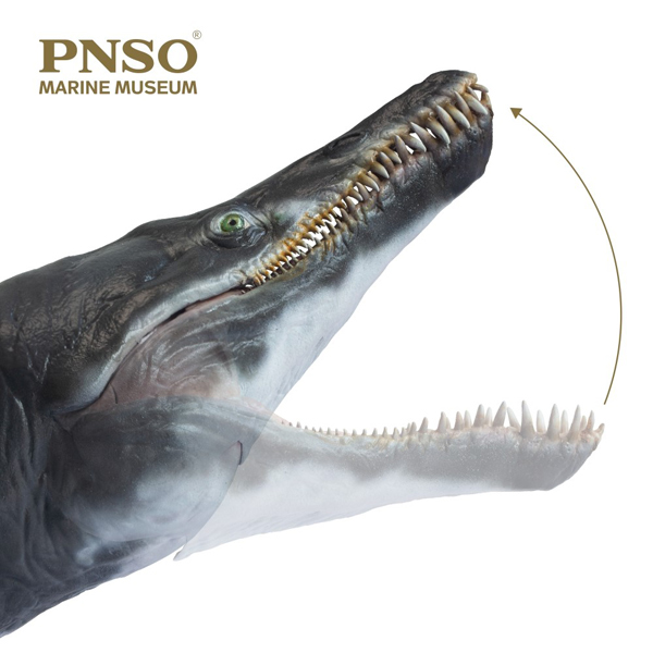 PNSO Jeff the Kronosaurus (articulated jaw)