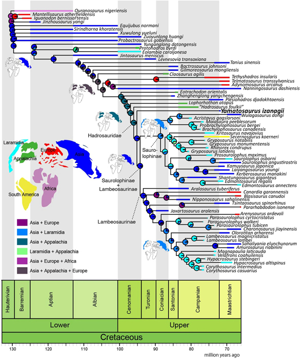 Data Suggests an Asian Origin for Hadrosaurs