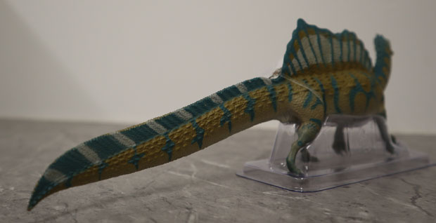 The deep tail on the Wild Safari Prehistoric World Spinosaurus dinosaur model
