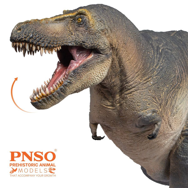 PNSO Chuanzi the Tarbosaurus dinosaur model