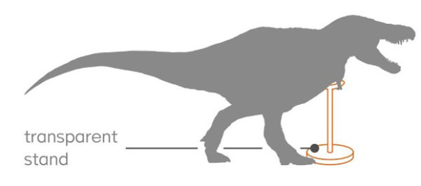 pnso tarbosaurus