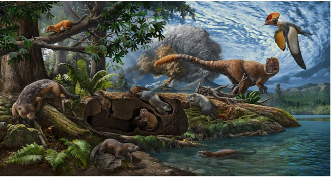The Early Cretaceous Jehol biota with emphasis on mammaliamorphs.