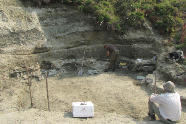 The stegosaur teeth excavation site