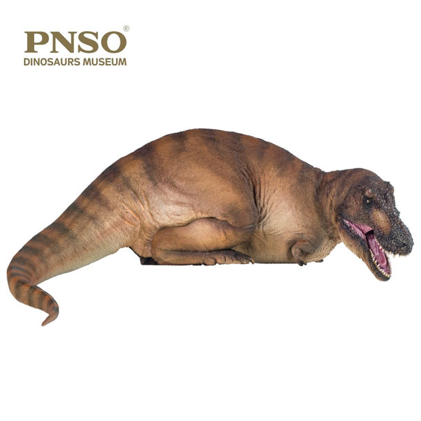 PNSO Andrea the female T. rex dinosaur model in lateral view