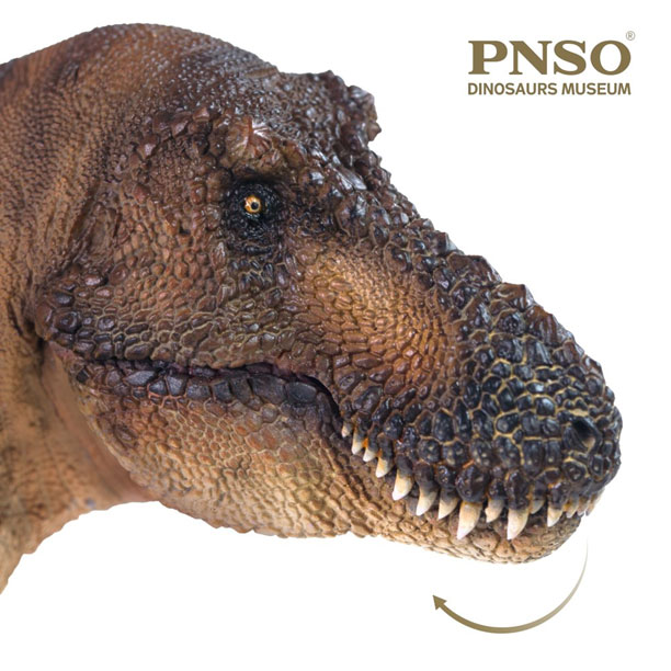 Andrea the female T. rex dinosaur model has an articulated jaw