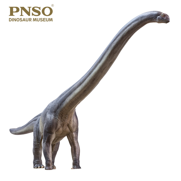 PNSO Er-ma the Mamenchisaurus dinosaur model (2021) in anterior view