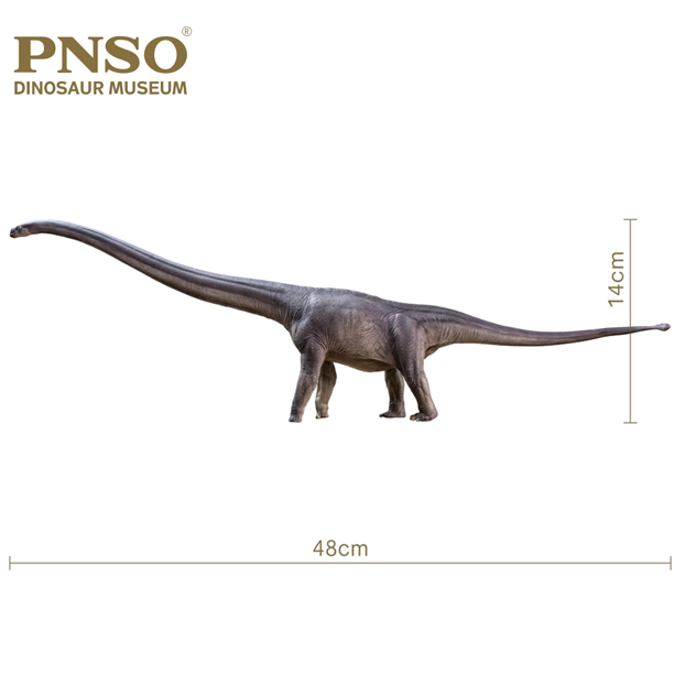 PNSO Er-ma the Mamenchisaurus dinosaur model measurements