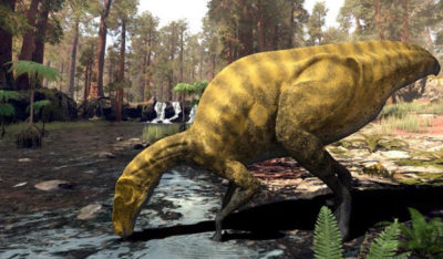 New Dinosaur Described from a Fossil Jawbone found in Spain