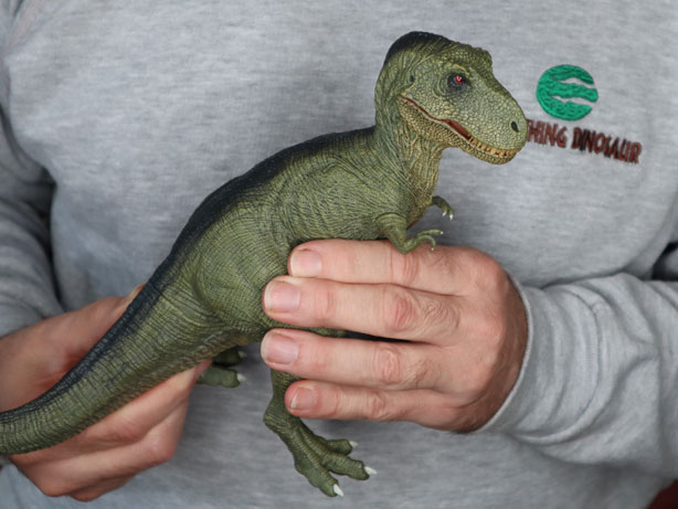 Rebor Californiacation T. rex dinosaur model.