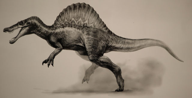 Spinosaurus illustration