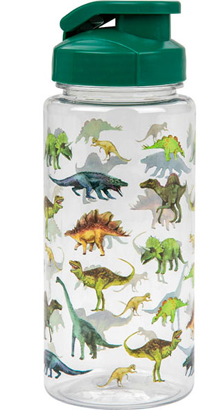 Dinosaur water bottle