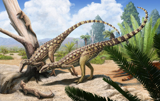 Scutellosaurus lawleri life reconstruction