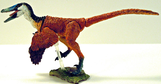 Beasts of the Mesozoic Buitreraptor model