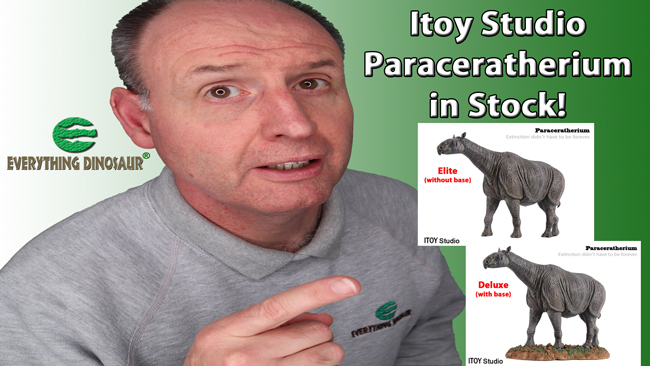 ITOY Studio Paraceratherium in stock