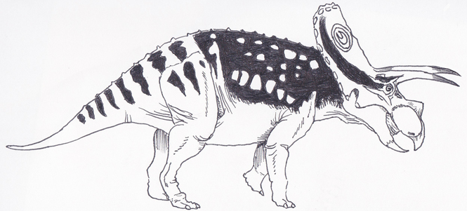 Dinosaur drawing commissioned by Everything Dinosaur.
