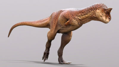 Carnotaurus Skin Study Conducted by Scientists