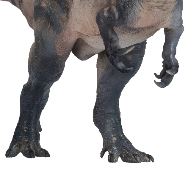 PNSO Torvosaurus dinosaur model