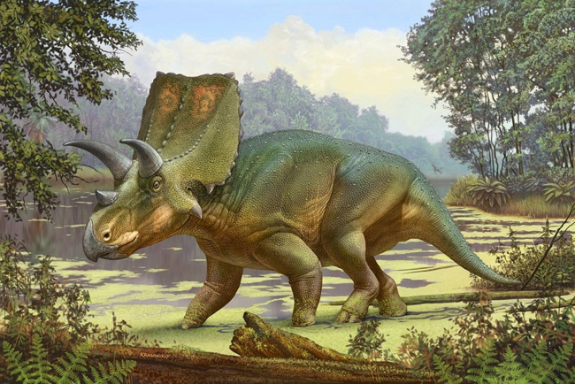 Sierraceratops turneri life reconstruction