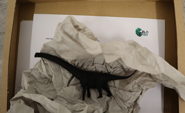 Wild Past Magyarosaurus dinosaur model box.