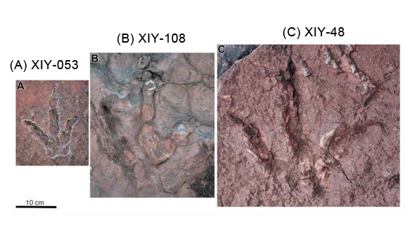 Yunnan track site theropod footprints.
