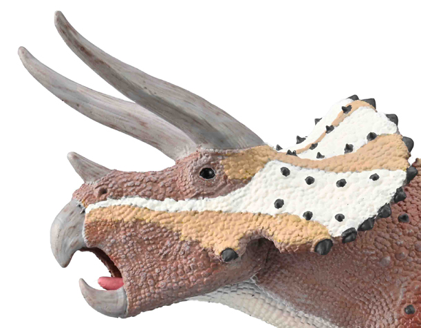 A close-up view of the head of the new for 2022 Collect Deluxe Triceratops.