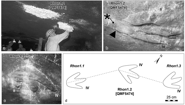 Historical photographs of the coalmine ceiling dinosaur tracks.