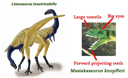 Examples of noasaurids.