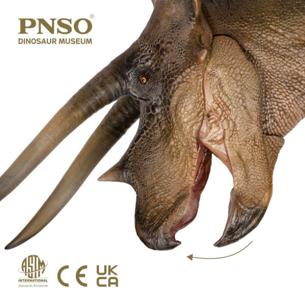 pnso triceratops doyle