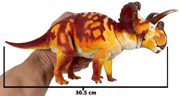 Beasts of the Mesozoic Wendiceratops model measurements.