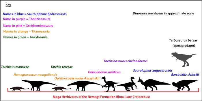 Mega herbivores of the Nemegt Formation