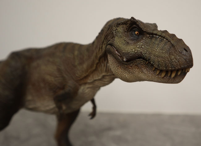 Nanmu Studio T. rex dinosaur model.