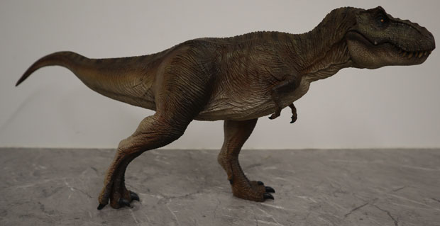 Nanmu Studio T. rex dinosaur model (Alpha)