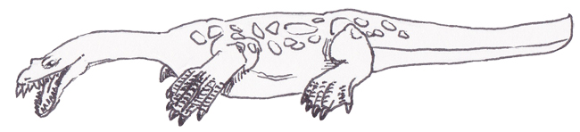 Nothosaurus drawing.